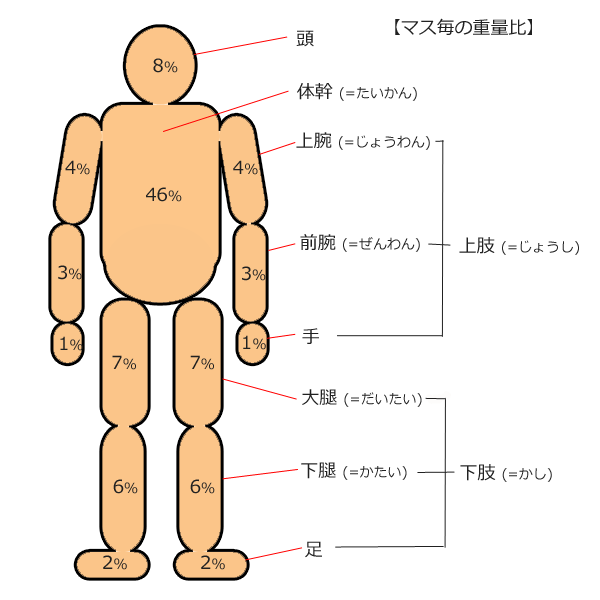 第18回介護Webゼミ｜上肢と下肢がバランスコントロールに果たす役割